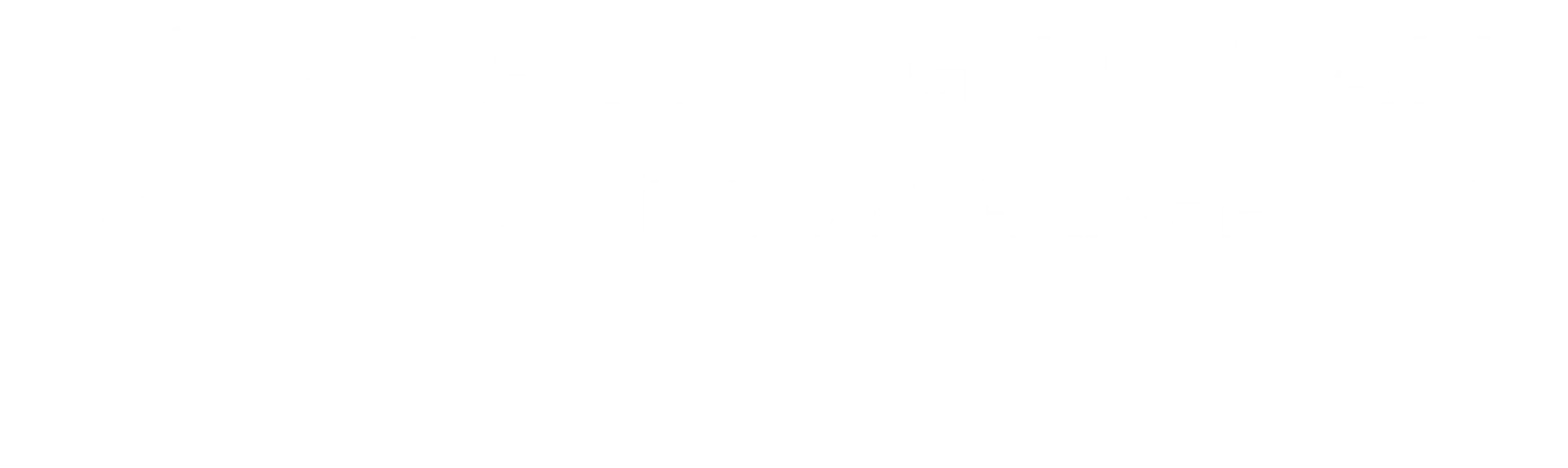 FENIX FIGHT TEAM
