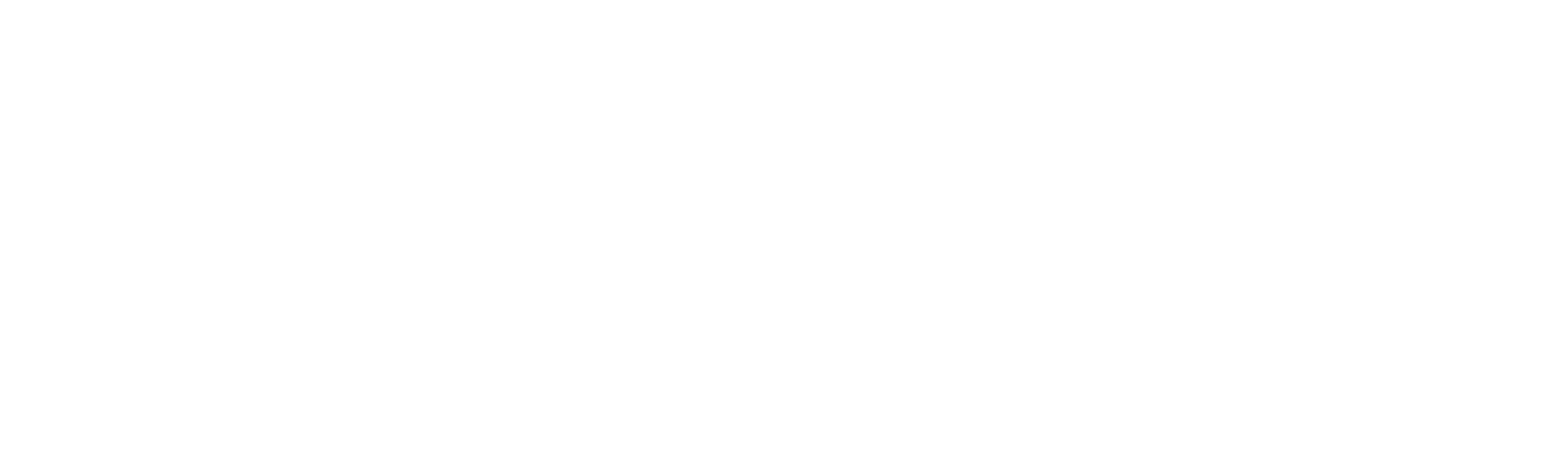 FENIX FIGHT TEAM